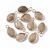 Natural Picture Jasper Pendants G-S359-014D-1