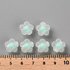 Transparent Acrylic Beads X-TACR-S152-06C-SS2111-4