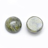 Natural Unakite Cabochons G-E492-H-24-2