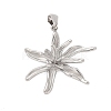 304 Stainless Steel Pendants STAS-Q349-01D-P-1