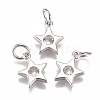 Brass Micro Pave Cubic Zirconia Charms ZIRC-F111-09-08-2