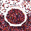 Picasso Glass Seed Beads SEED-N007-20B-2