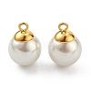 304 Stainless Steel Charms STAS-Z009-02C-G-1