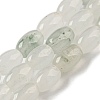 Natural Jade Beads Strands G-M420-J01-02-1
