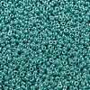 MIYUKI Round Rocailles Beads X-SEED-G009-RR0435-3