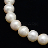 Grade AAA Natural Cultured Freshwater Pearl Beads Strands PEAR-L001-G-13-2