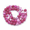 Dyed Natural Crackle Agate Beads Strands G-T100-04D-2