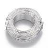 Round Anodized Aluminum Wire AW-F004-1mm-01-1