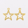 201 Stainless Steel Charms STAS-F162-13G-2