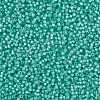 MIYUKI Round Rocailles Beads SEED-JP0009-RR0571-3