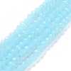 Electroplate Glass Beads Strands EGLA-A034-J10mm-L06-1