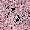 TOHO 11/0 Round Beads SEED-TR11-0145-2