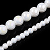 Electroplate Opaque Glass Beads Strands GLAA-T032-P8mm-AB02-4
