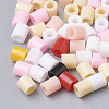 DIY Melty Beads Fuse Beads Sets: Fuse Beads DIY-S033-115-4