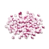 6/0 Opaque Glass Seed Beads LS-SEED-P005-A13-1