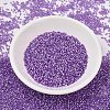 MIYUKI Delica Beads SEED-MY11-DB1343-2