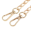 Alloy Twisted Chain Bag Chains X-AJEW-H145-86G-4