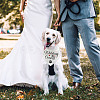 Cotton Dog's Kerchief AJEW-WH0503-091-7