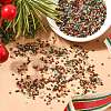 4 Colors 11/0 Christmas MIYUKI Delica Seed Beads SEED-X0058-20-5