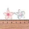 Transparent Resin Pendants RESI-Z043-04P-3