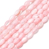 Dyed Natural Freshwater Shell Beads Strands SH-CBA2978-06D-1