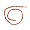 Natural Freshwater Shell Dyed Beads Strands SHEL-M018-14-02-2
