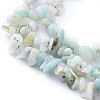 Natural Gemstone Bead Strand F031-2