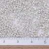 MIYUKI Delica Beads SEED-MY11-DB0551-4