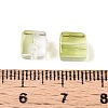 Baking Paint Transparent Glass Beads DGLA-N005-01A-06-4