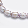 Natural Cultured Freshwater Pearl Beads Strands PEAR-F007-85-01-4