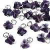 Faceted Transparent Glass Charms GLAA-T024-06-2