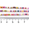 Handmade Lampwork Beads Strands LAMP-L078-008K-4