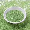 MIYUKI Round Rocailles Beads SEED-G007-RR0676-2