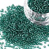 12/0 Grade A Round Glass Seed Beads SEED-Q007-F51-1