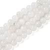Natural Rainbow Moonstone Beads Strands G-I249-B04-04-2