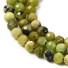Natural Serpentine Beads Strands G-P603-C-3mm-06-4