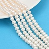 Natural Cultured Freshwater Pearl Beads Strands PEAR-I007-07X-13D-1