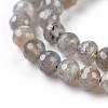 Natural Labradorite Beads Strands G-O176-04B-4
