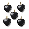 Natural Obsidian Pendants G-G956-B40-G-1