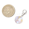 Shell Shape Starfish Star Fish Moon Glass Pendant Decorations HJEW-JM03257-3