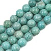 Natural Amazonite Beads Strands G-F461-12-10mm-01-2