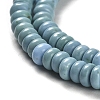 Natural Turquoise Beads Strands X-G-M422-B01-01-4