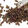 TOHO 6/0 Round Beads SEED-XTR06-0514-1