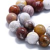 Natural Ocean Jasper Beads Strands G-P457-C03-06-2