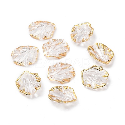 Transparent Acrylic Pendants TACR-D013-03-1