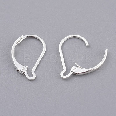 Brass Leverback Earring Findings LS-KK-Z007-27S-1