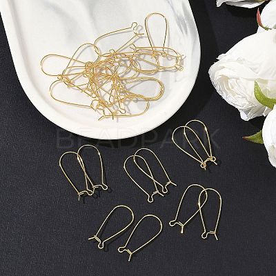SHEGRACE Brass Kidney Ear Wire XGR0004G-43G-1