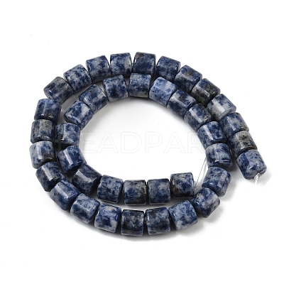 Natural Blue Spot Jasper Beads Strands G-G275-D21-10x10mm-1
