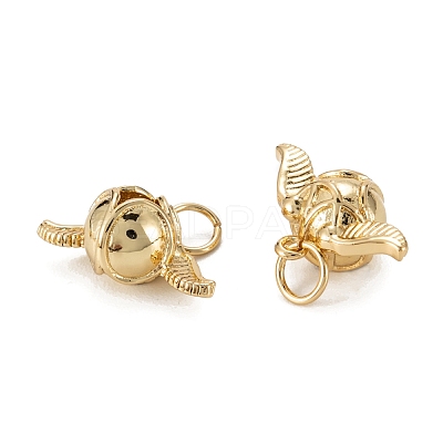 Brass Charms KK-C223-04G-1