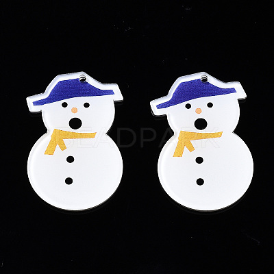 Transparent Printed Acrylic Pendants KY-S163-341-1